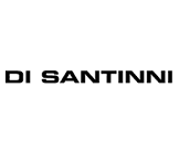 Logo Di Santinni
