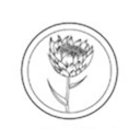 Logo Plantô Arte Botânica