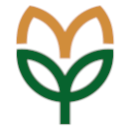 Logo Positive Market